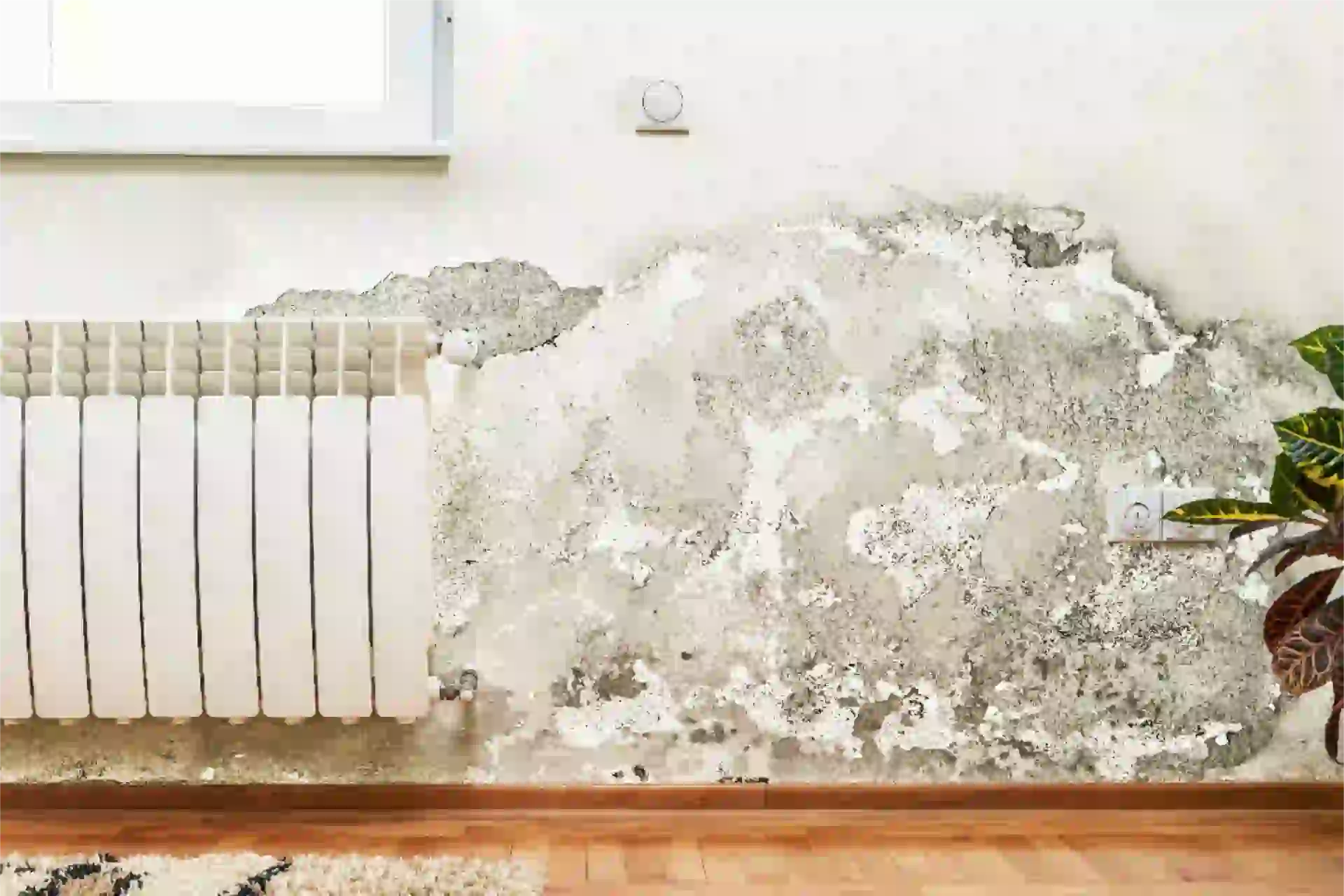 Diagnostic humidité à Airvault